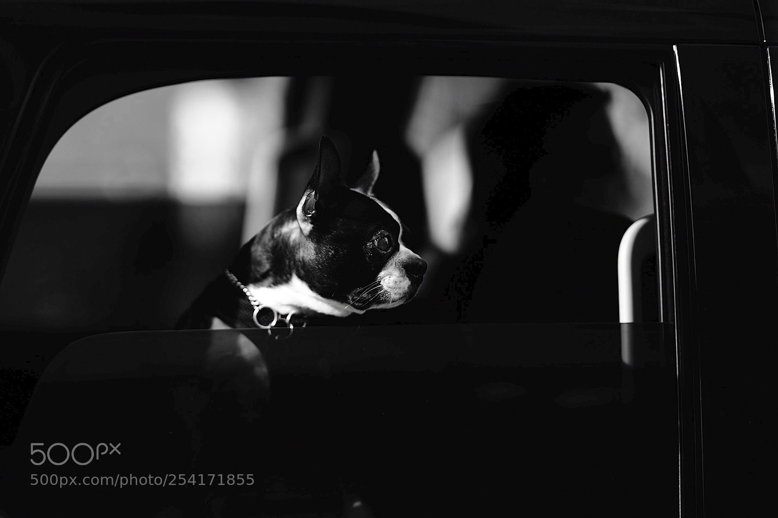 Nikon D810 sample photo. The passenger  photography