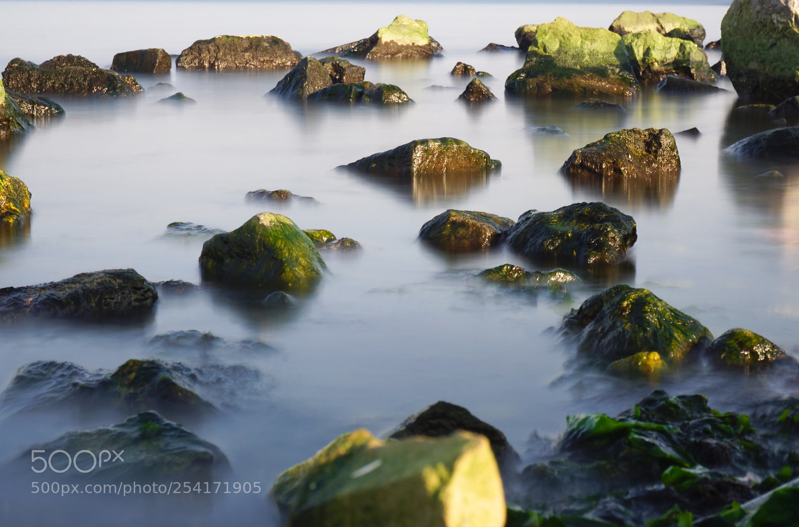 Sony a6000 sample photo. Seaweeds photography