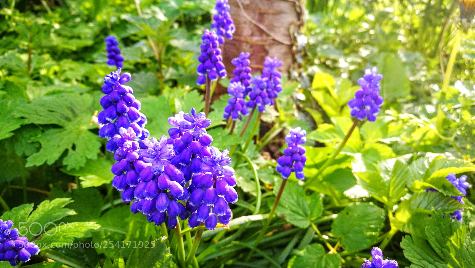 HUAWEI P9 sample photo. Untitled photography
