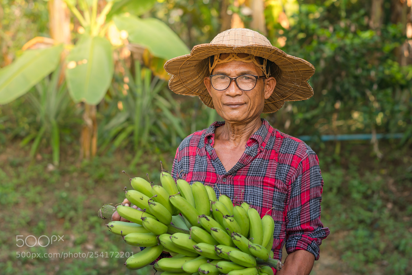 Sony a7R III sample photo. Asian farmer holding banana photography