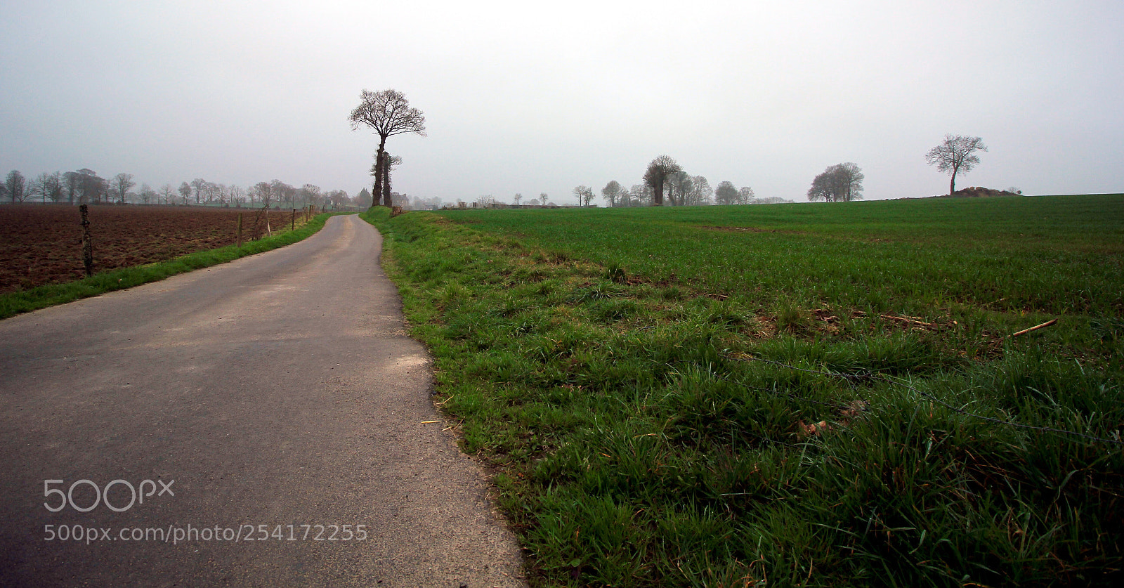 Canon EOS 550D (EOS Rebel T2i / EOS Kiss X4) sample photo. Country road photography
