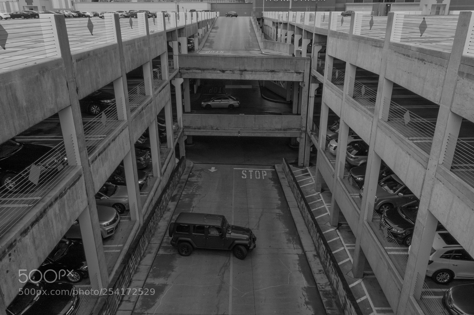 Nikon D3300 sample photo. Bw mall action photo photography