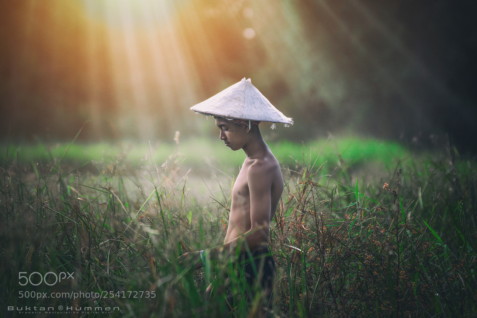 Nikon D5500 sample photo. Tan photography