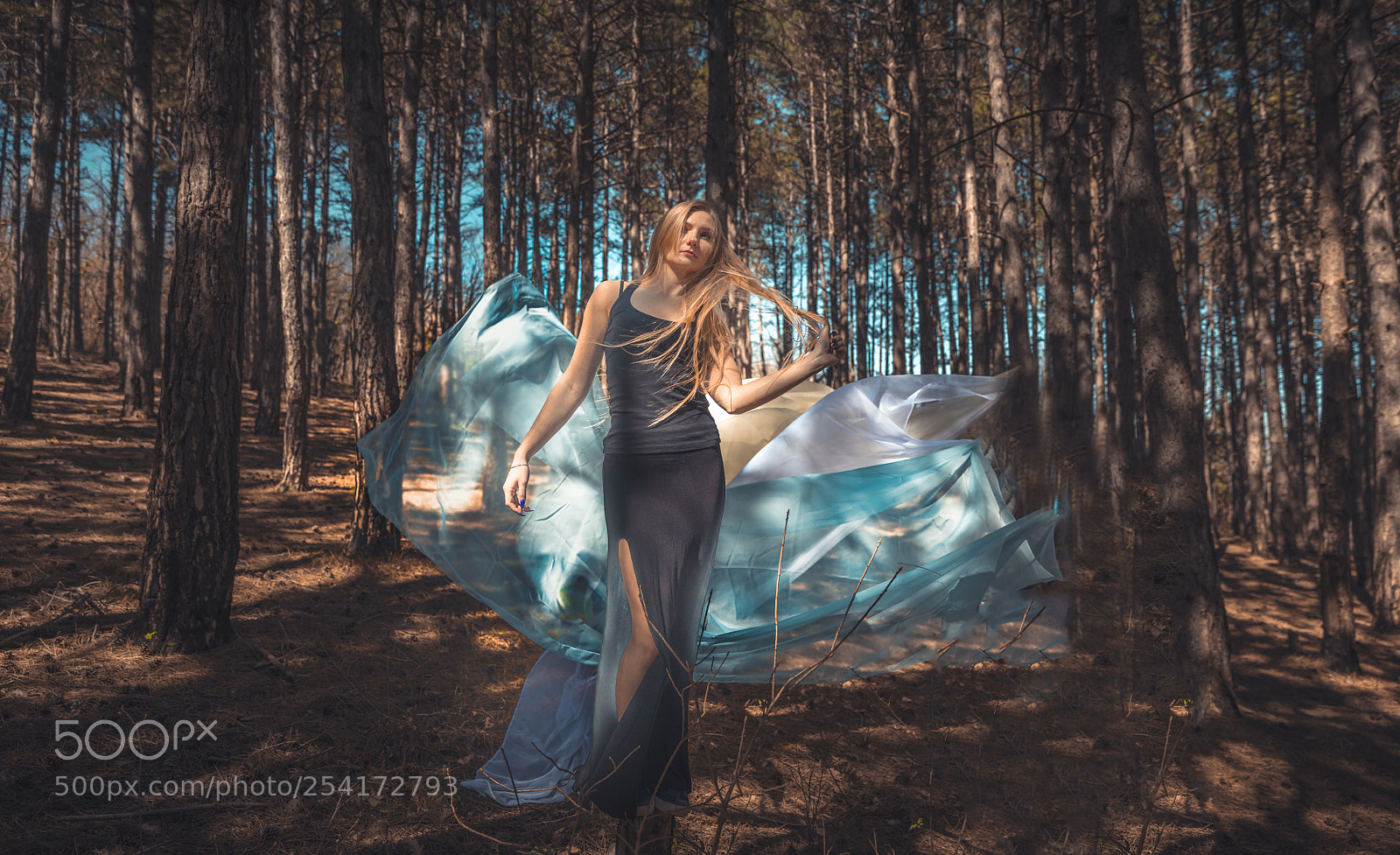 Canon EOS 5DS R sample photo. Dream caster  photography