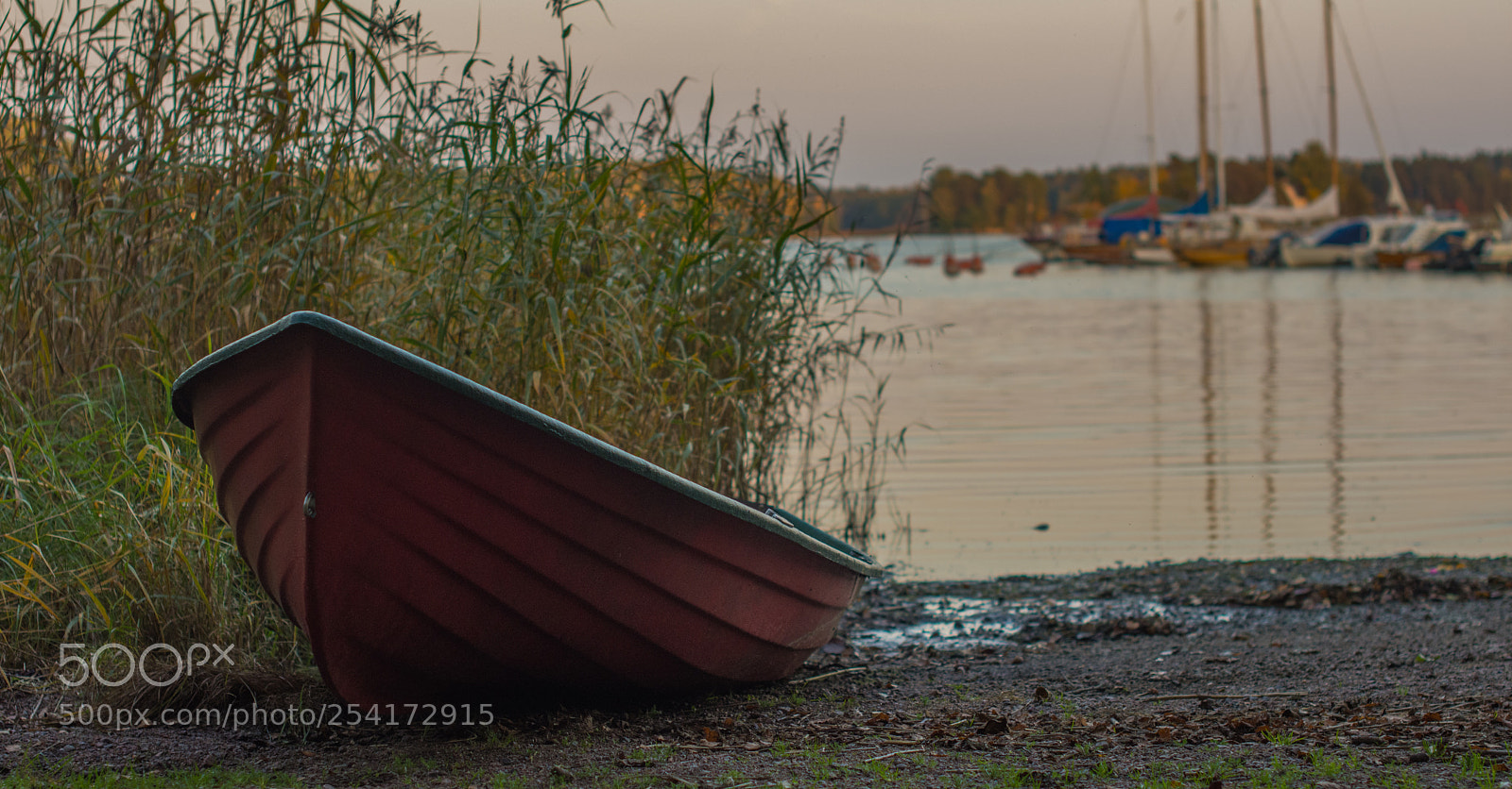 Nikon D7200 sample photo. The boat. photography