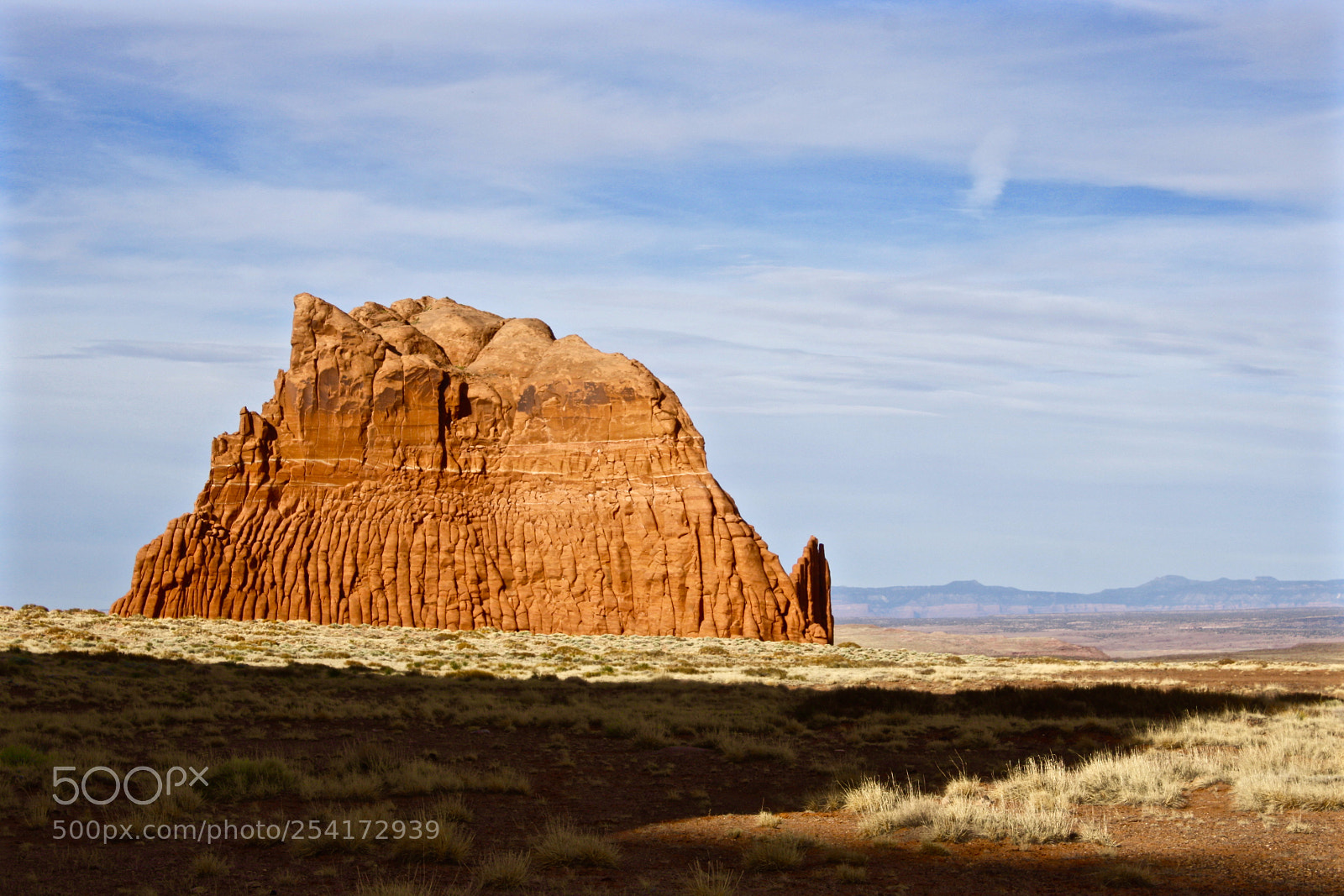 Canon EOS 1000D (EOS Digital Rebel XS / EOS Kiss F) sample photo. Guarding the desert photography