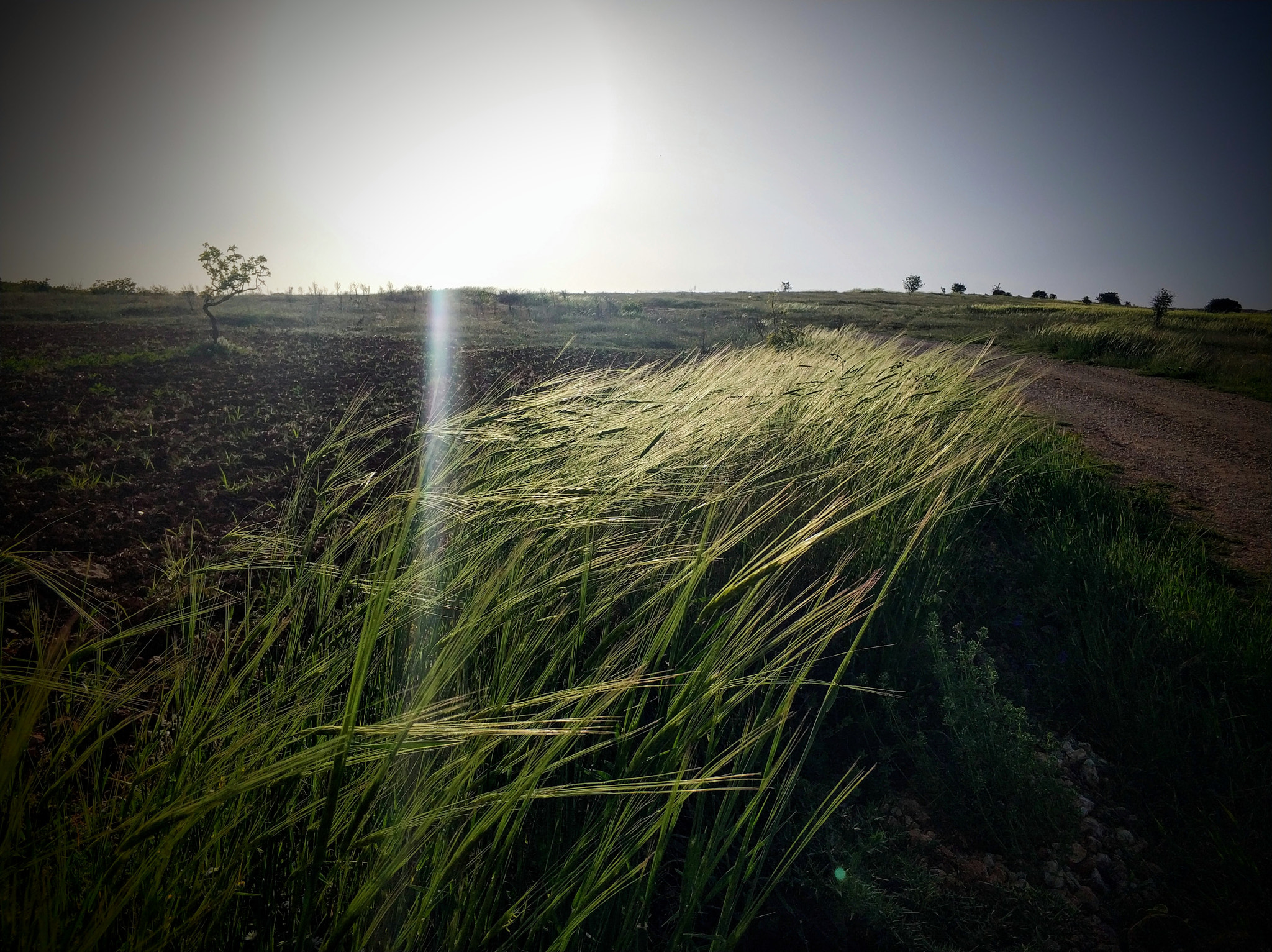 Xiaomi Mi Note 3 sample photo