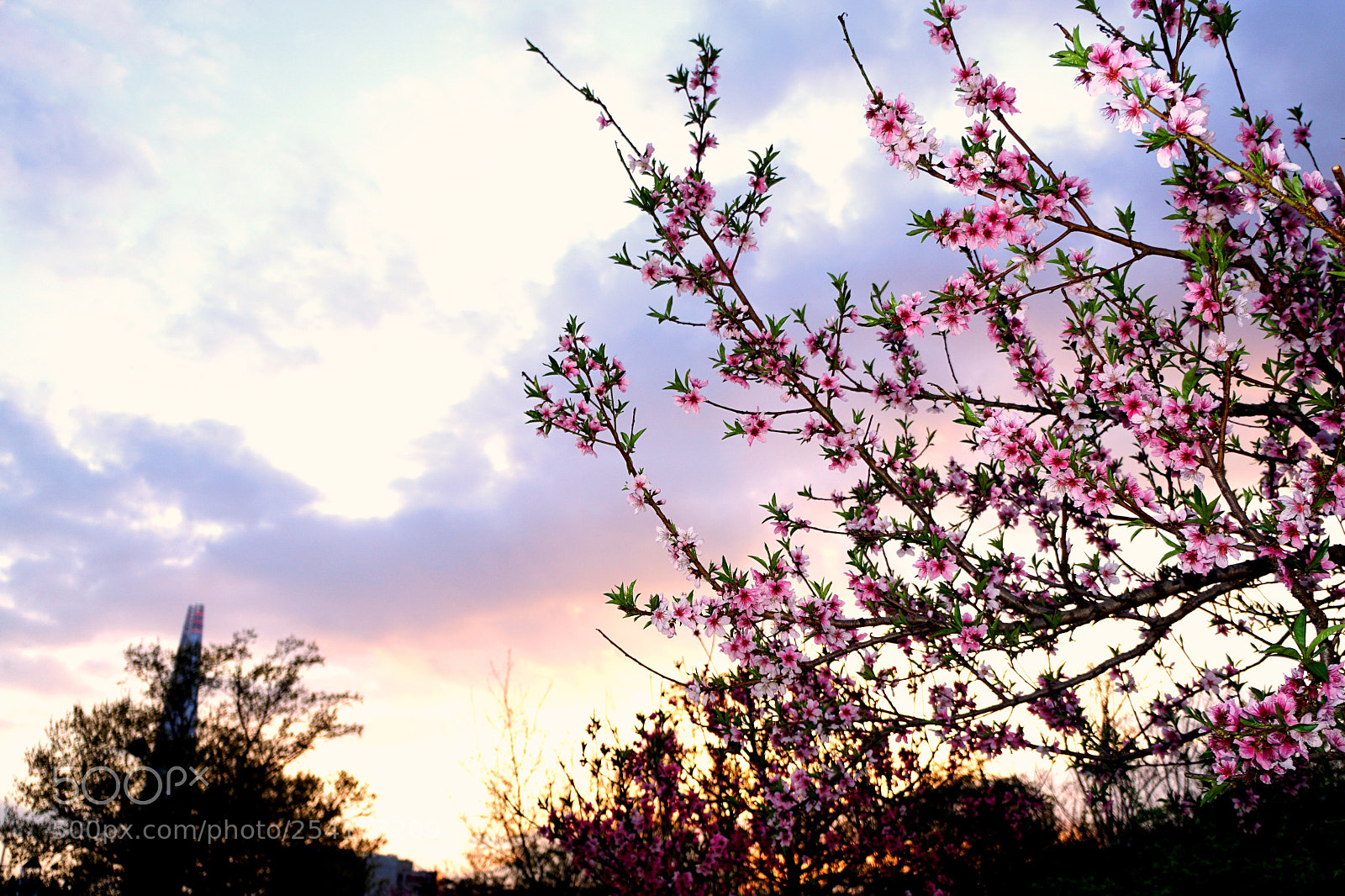 Sony a6000 sample photo. Untitled photography
