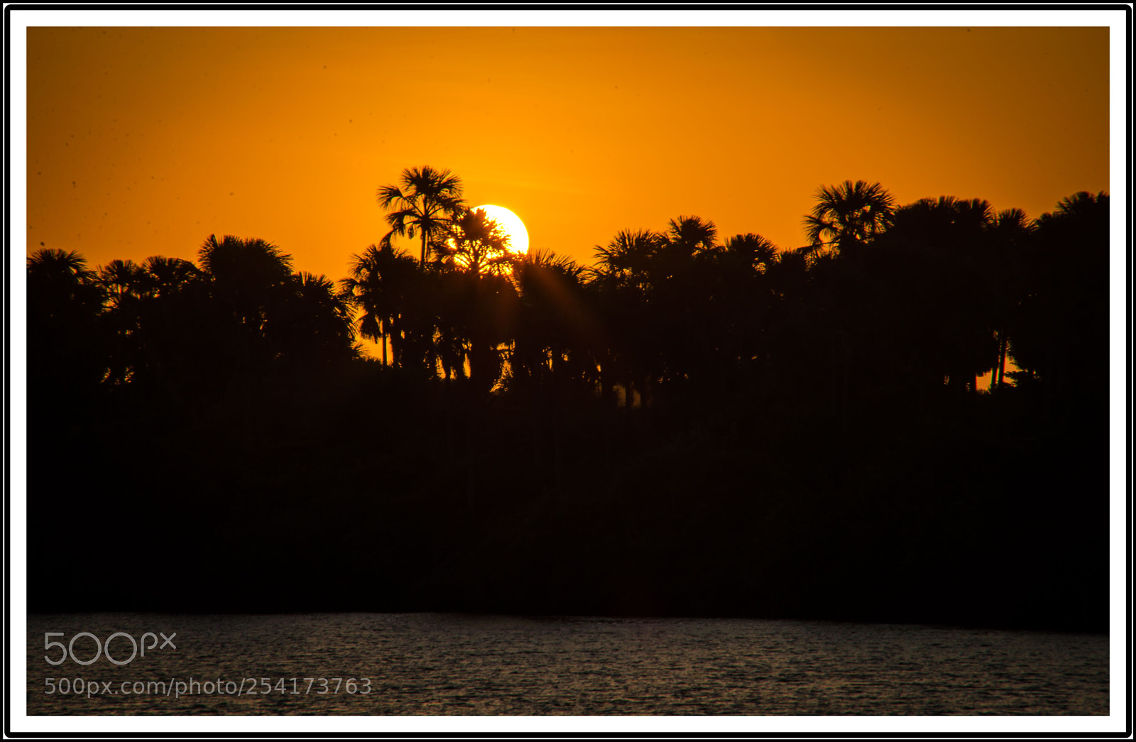 Nikon D610 sample photo. Manh s do pregui photography