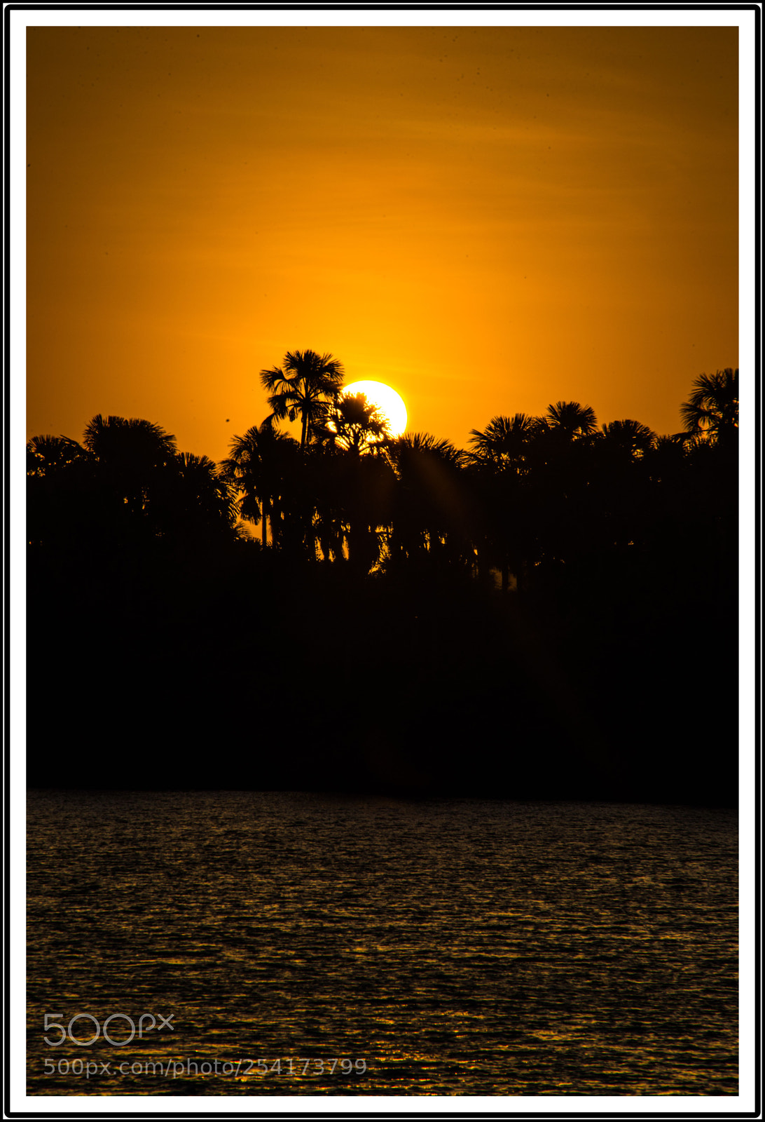 Nikon D610 sample photo. Nanh s do pregui photography