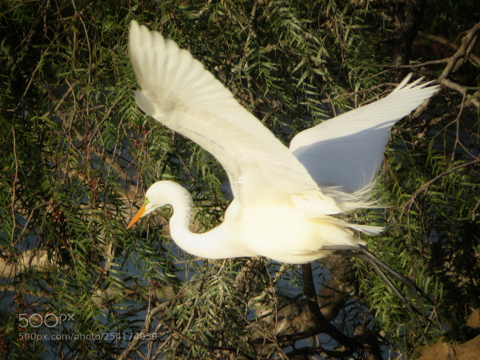 Canon PowerShot SX720 HS sample photo. Taking off photography