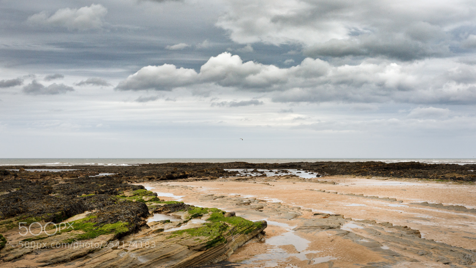 Canon EOS 5D Mark IV sample photo. Low hauxley beach photography