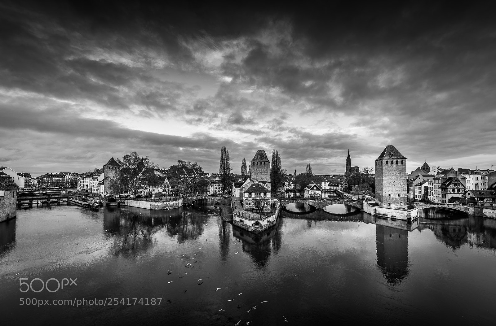 Nikon D810 sample photo. Strasbourg photography