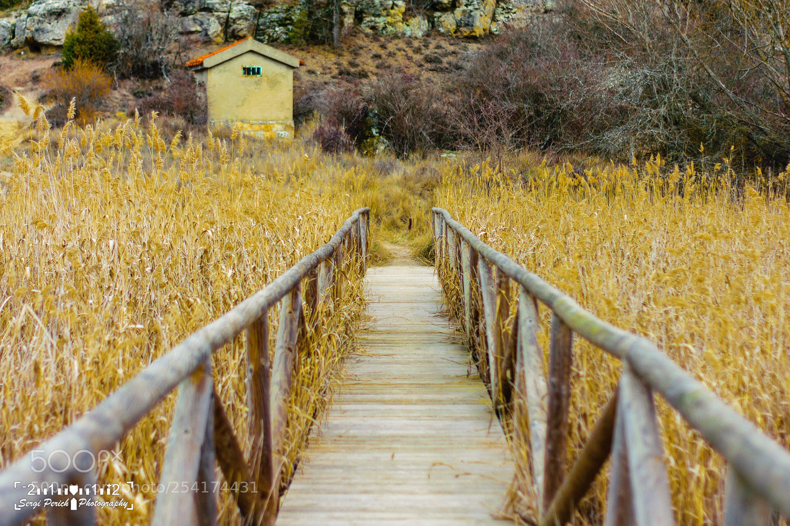 Nikon D3300 sample photo. Mirador en la laguna photography