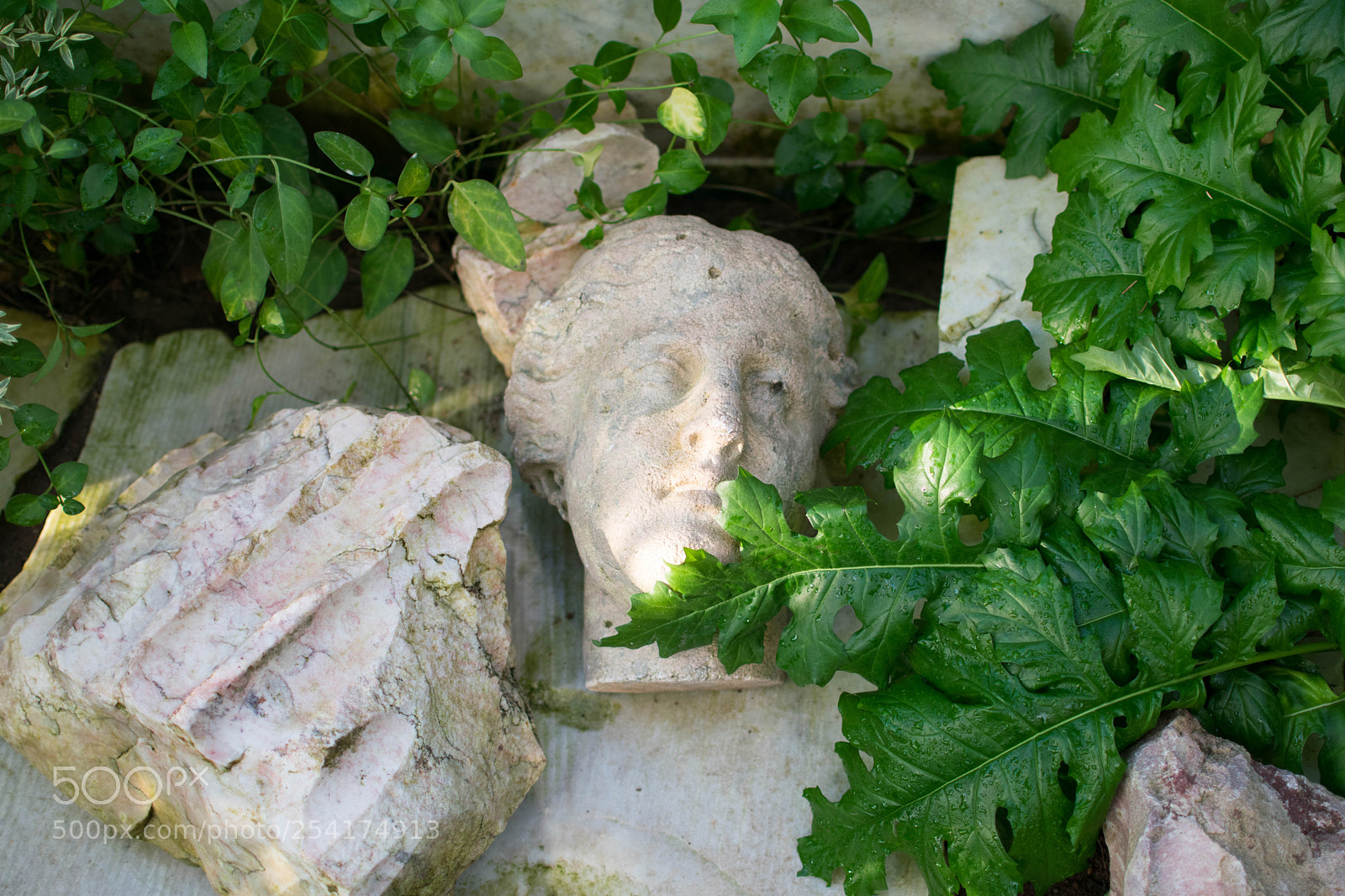 Nikon D5300 sample photo. Antique head photography