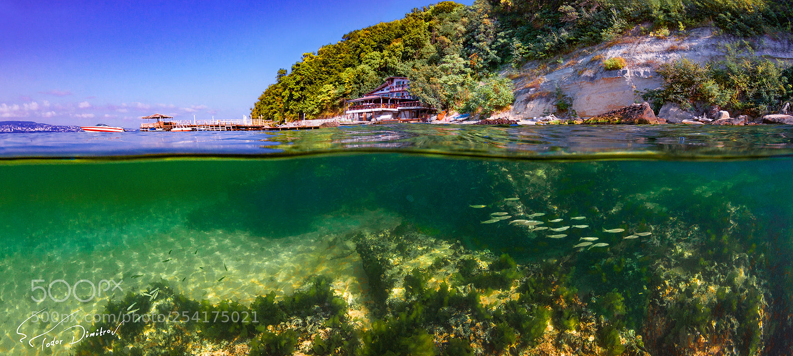 Canon EOS 50D sample photo. Split level reef and photography