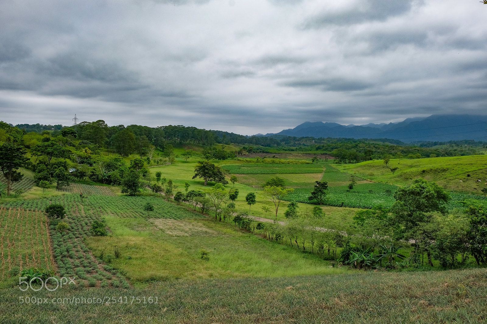 Fujifilm X-T20 sample photo. Crops photography
