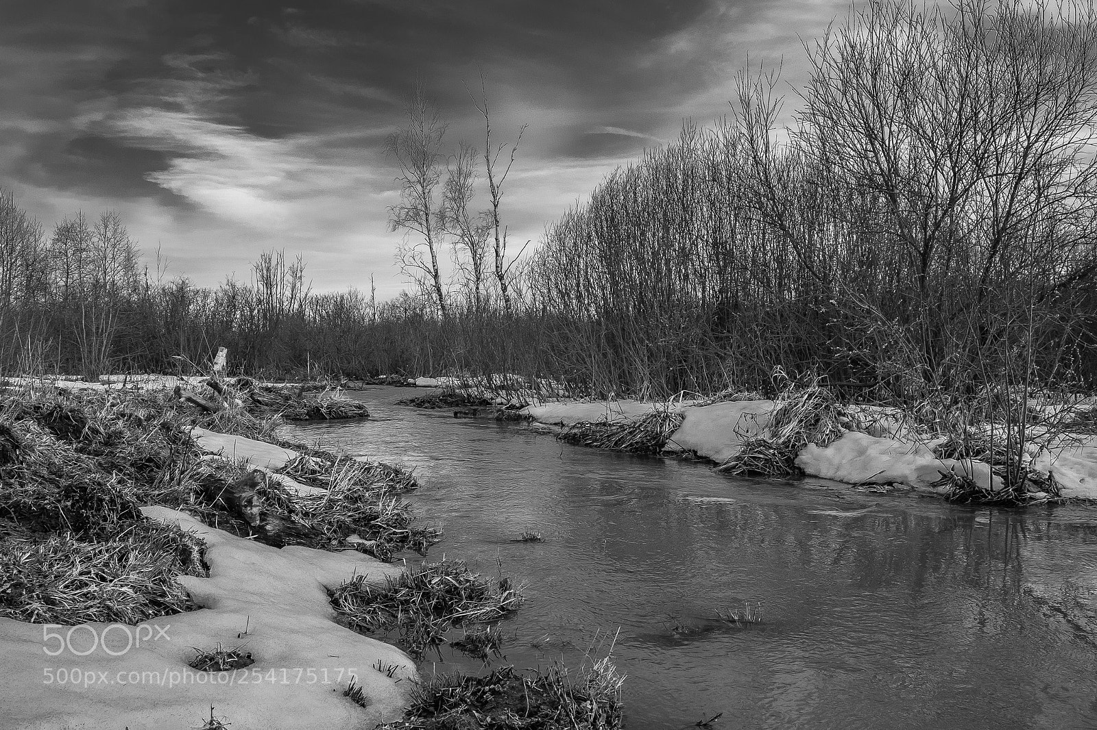 Nikon D7100 sample photo. *** photography