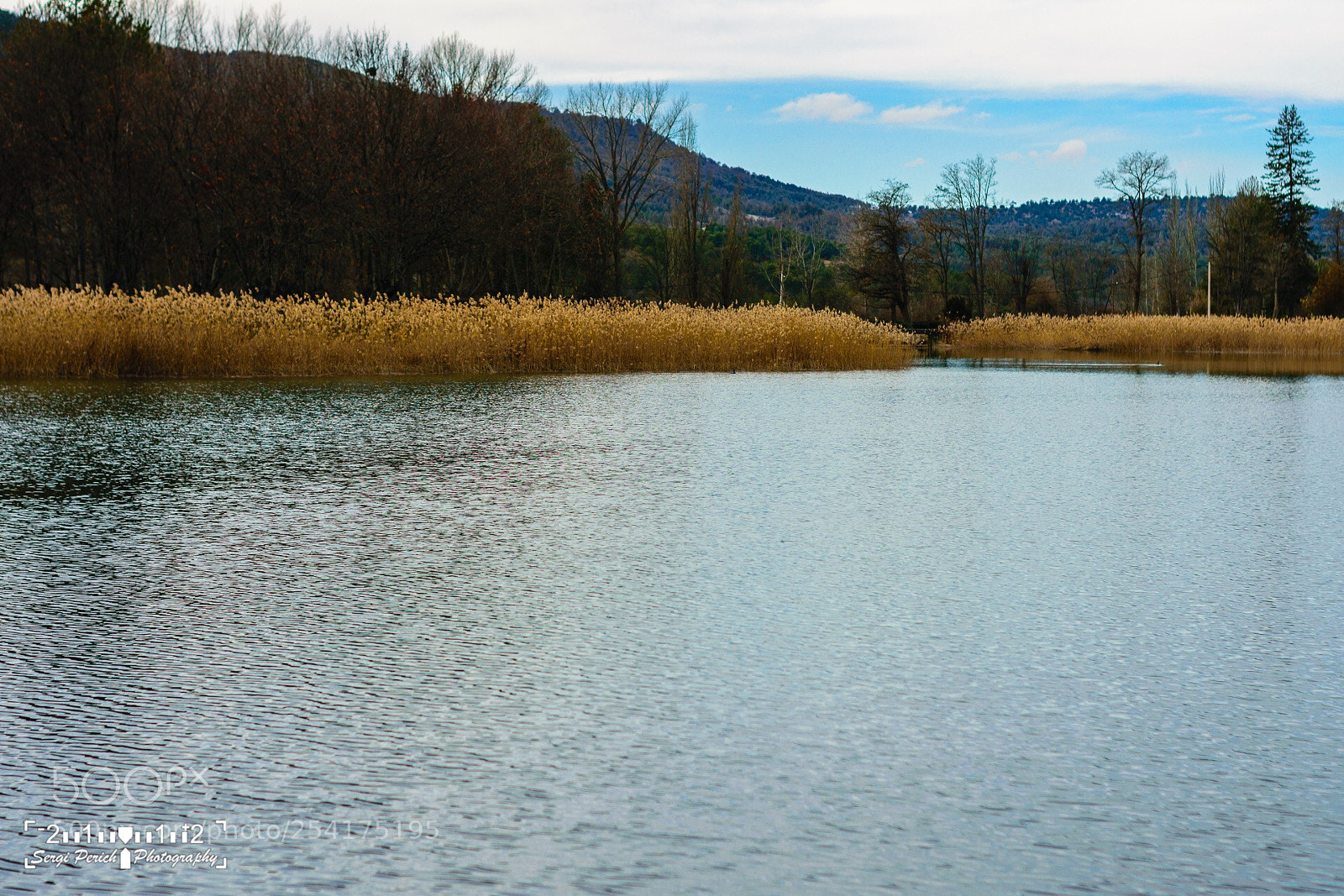 Nikon D3300 sample photo. Laguna photography