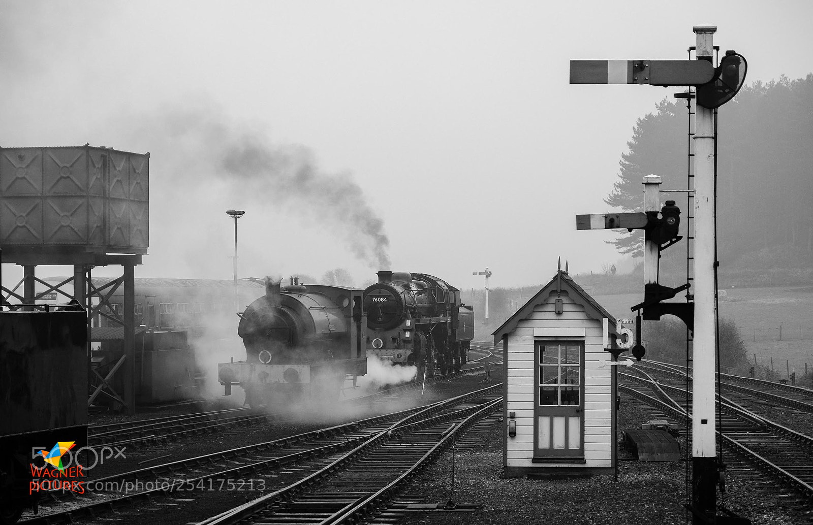 Fujifilm X-T2 sample photo. Misty morning in norfolk photography
