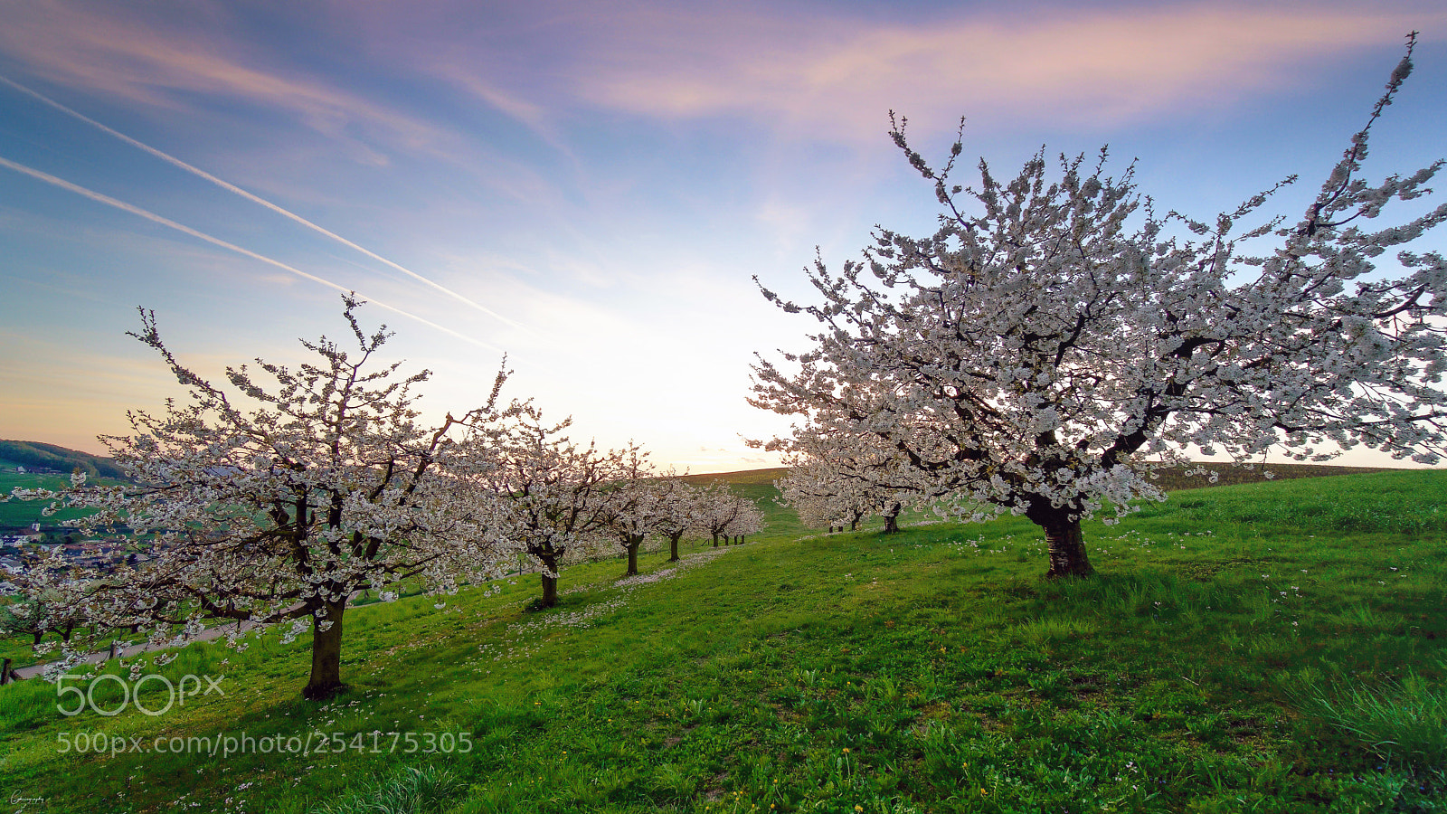 Sony a6500 sample photo. Arisdorf am abend photography