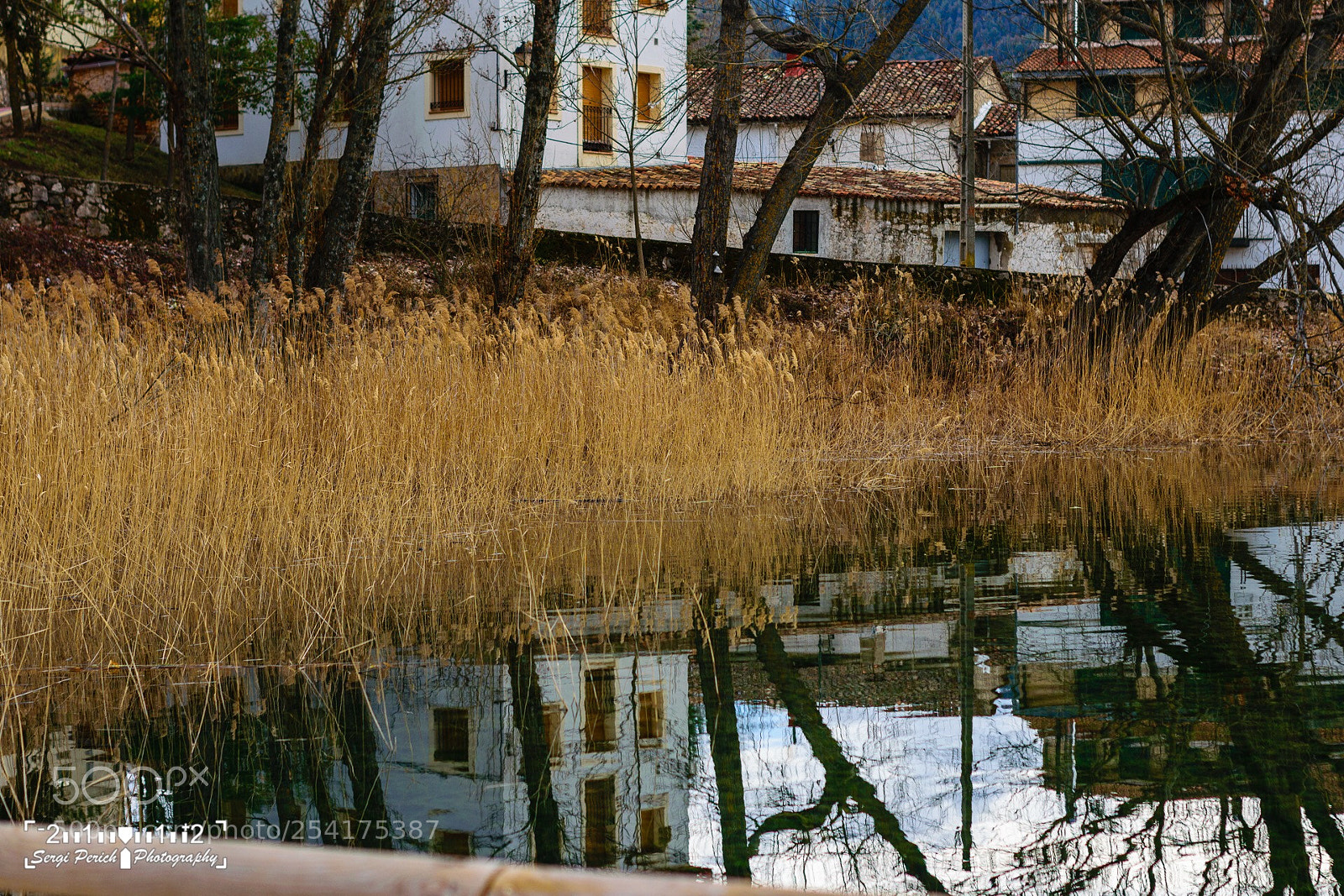 Nikon D3300 sample photo. U a en un photography