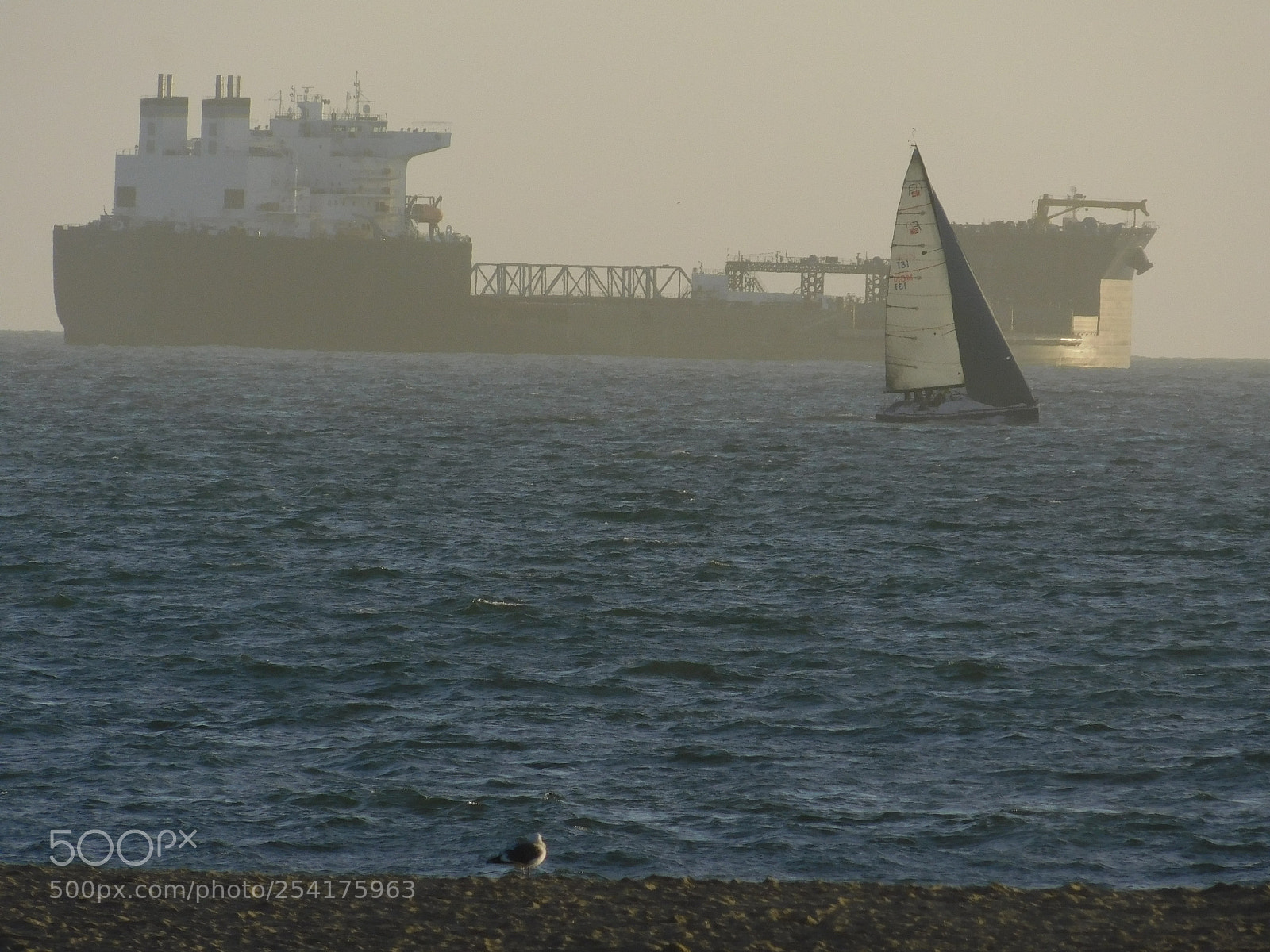 Nikon Coolpix B500 sample photo. Perspective  seal beach, ca photography