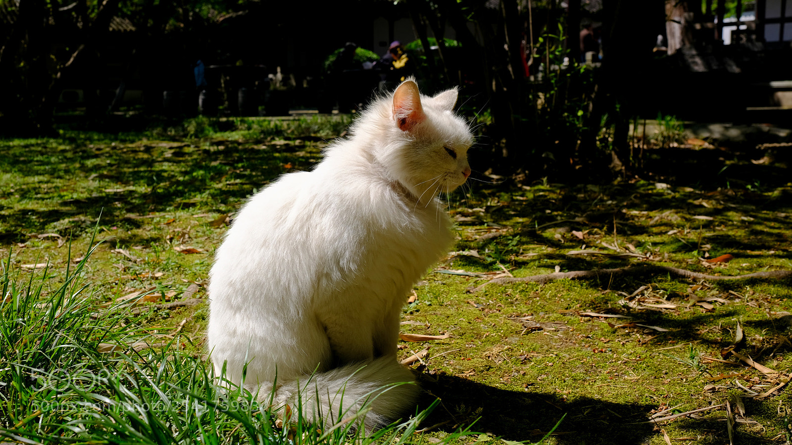 Fujifilm X-T20 sample photo. Untitled photography