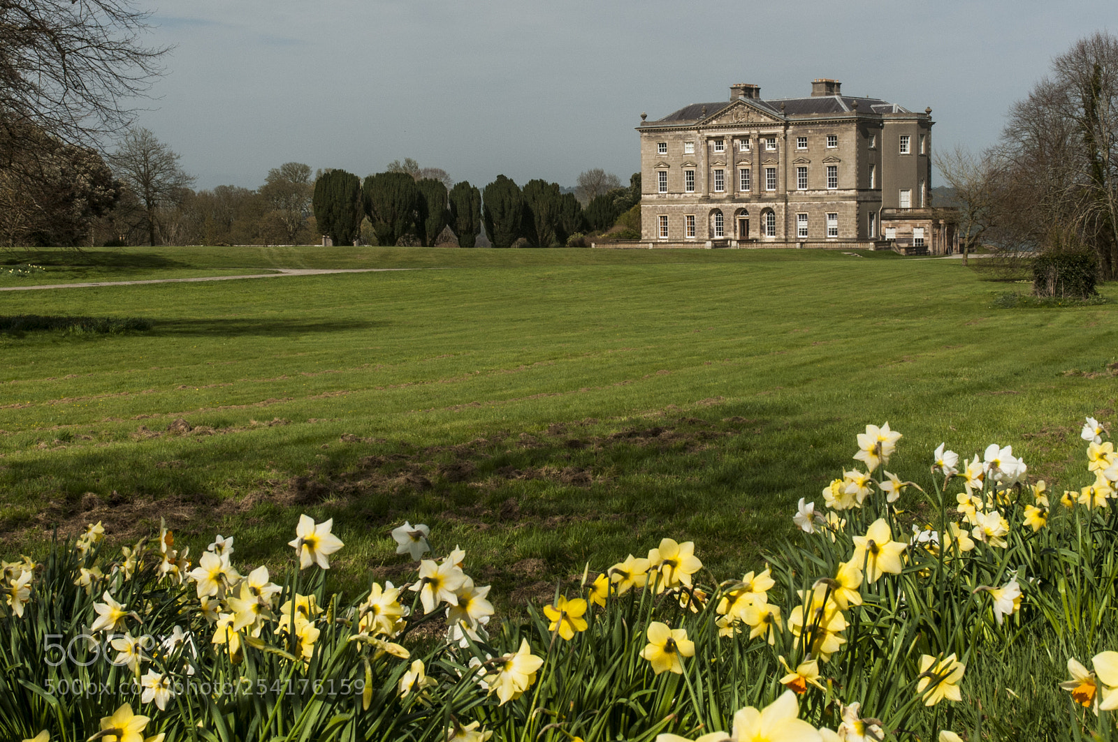 Nikon D300S sample photo. Castle ward, strangford, northern photography