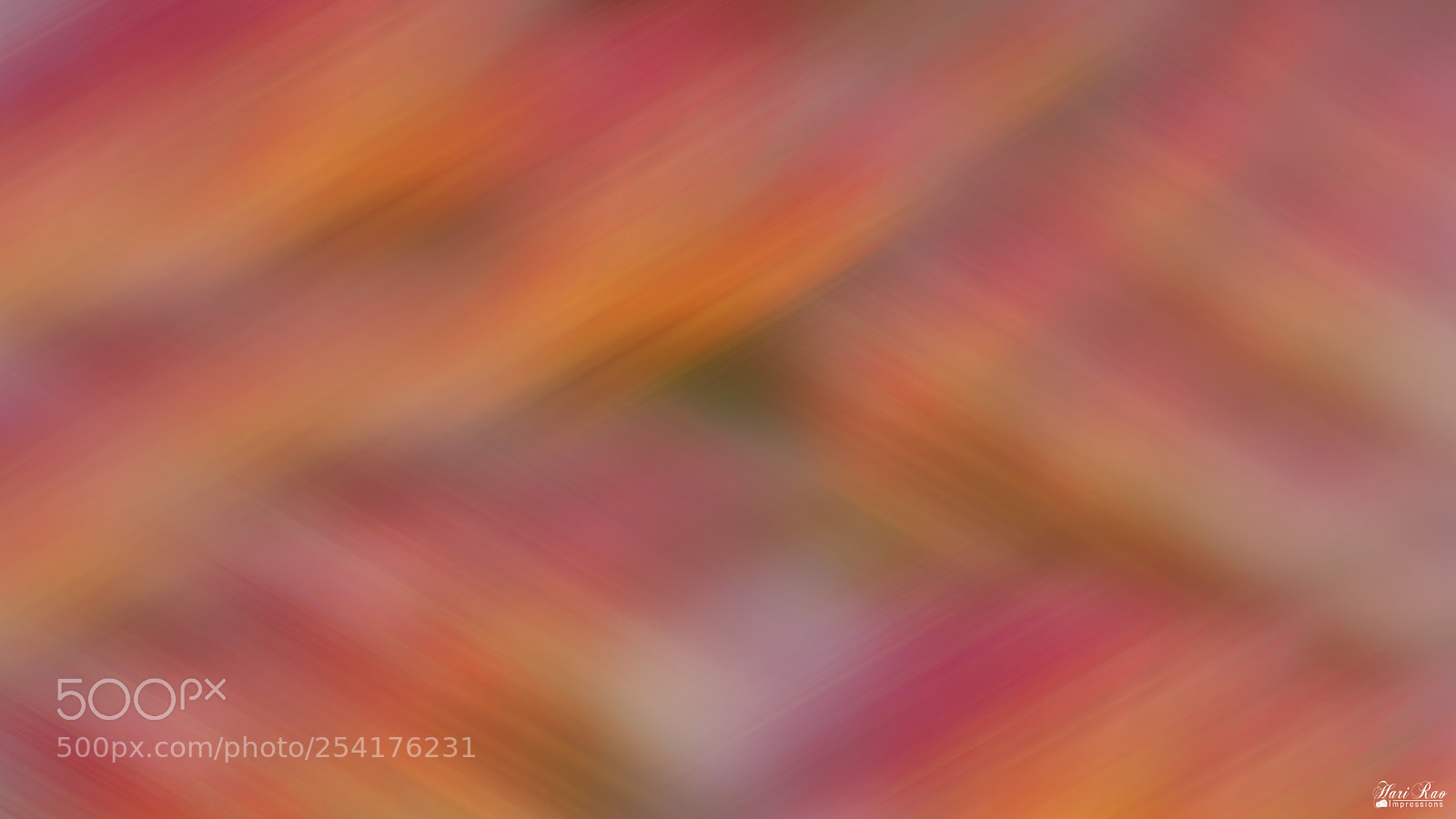 Nikon D810 sample photo. Deep inside.. photography