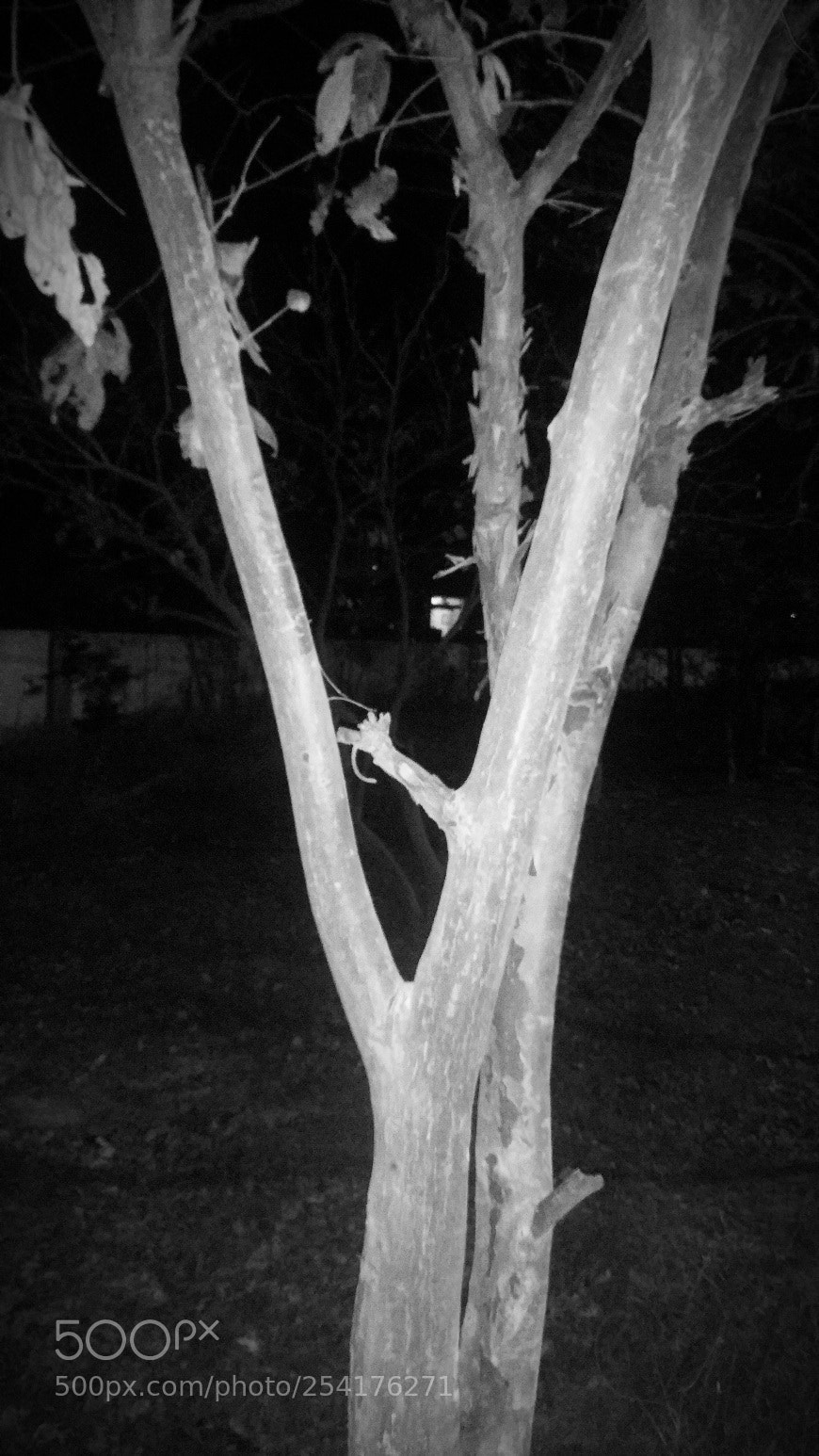 OnePlus A3003 sample photo. Night in black white photography