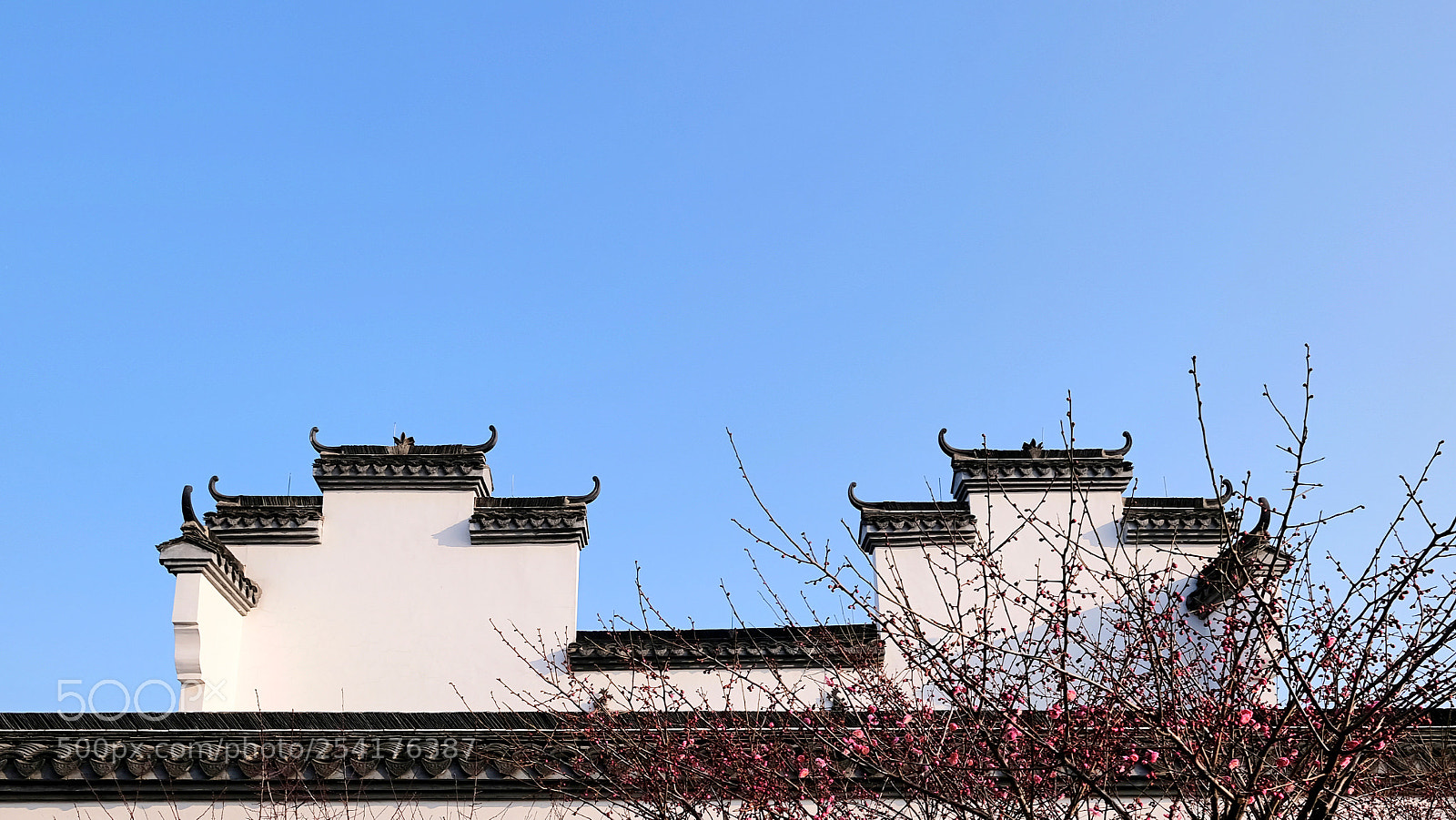 Fujifilm X-T20 sample photo. Untitled photography