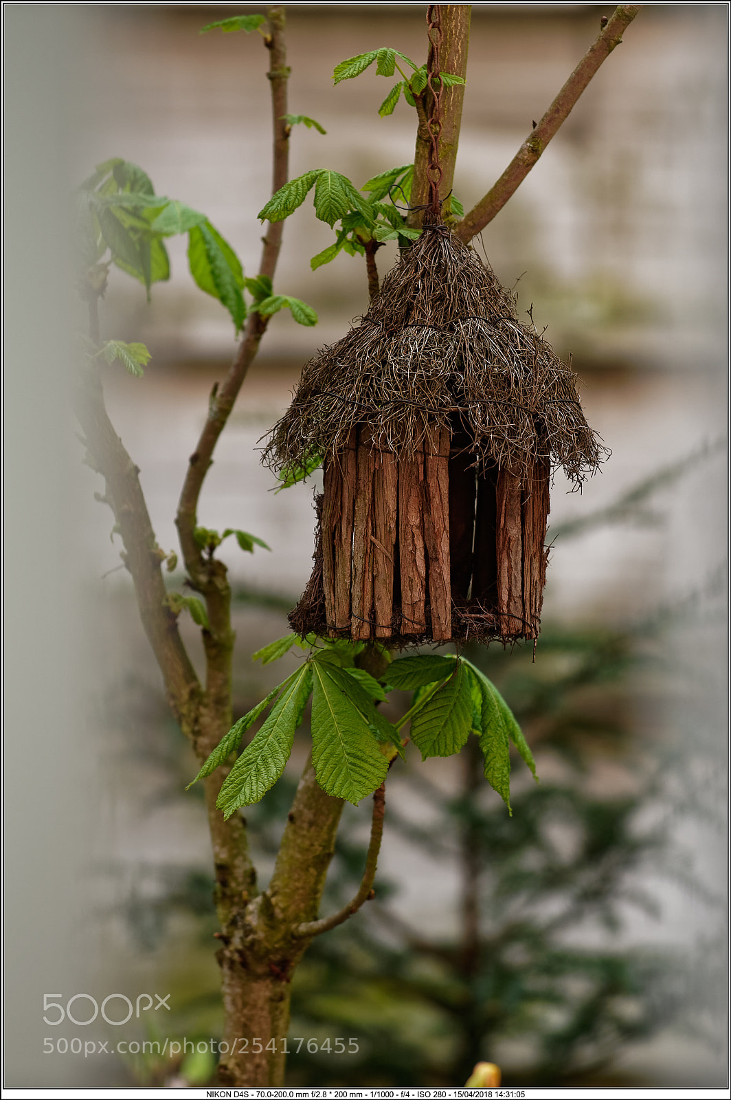 Nikon D4S sample photo. Cb photography