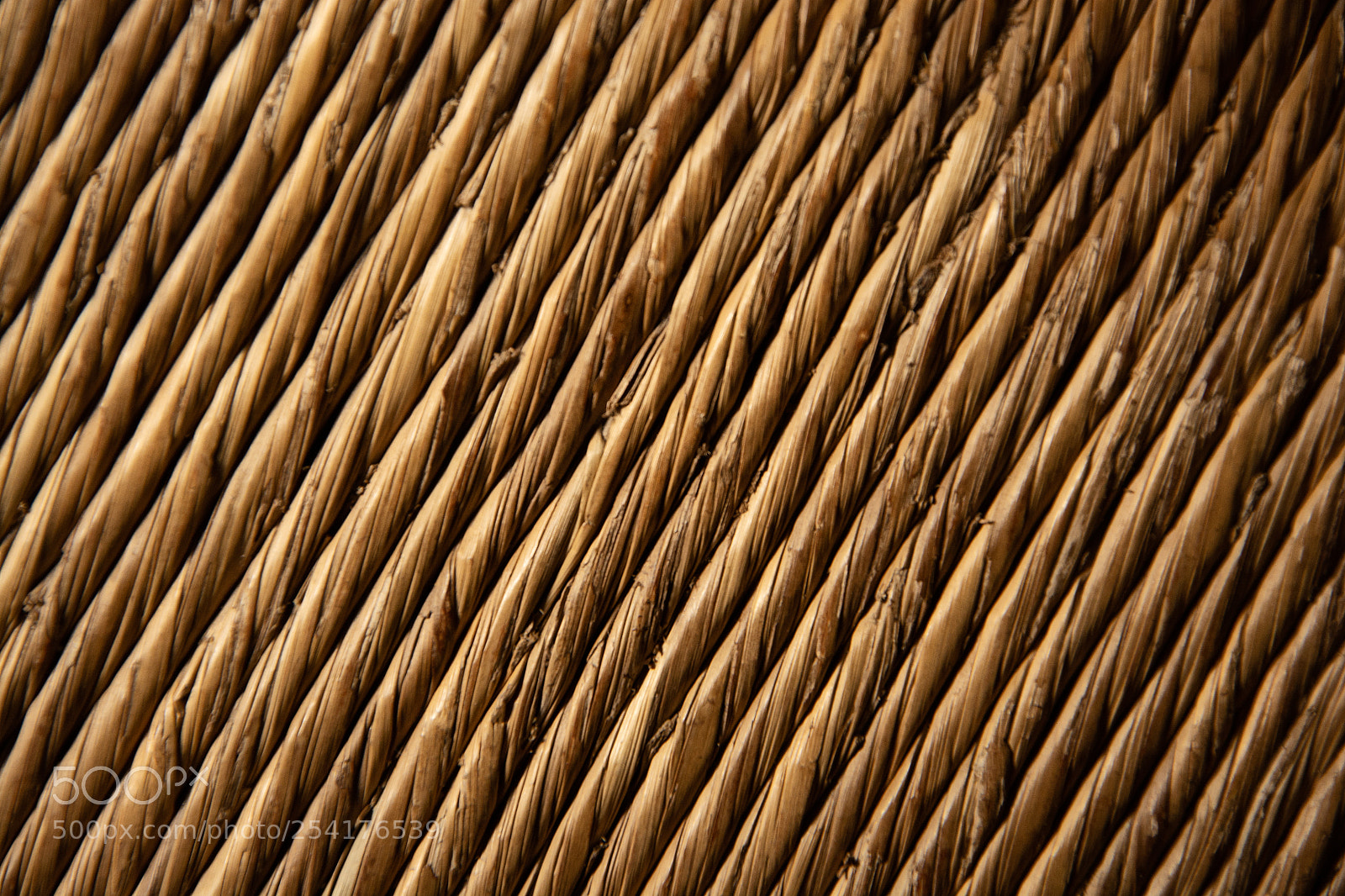 Nikon D5200 sample photo. Untitled photography