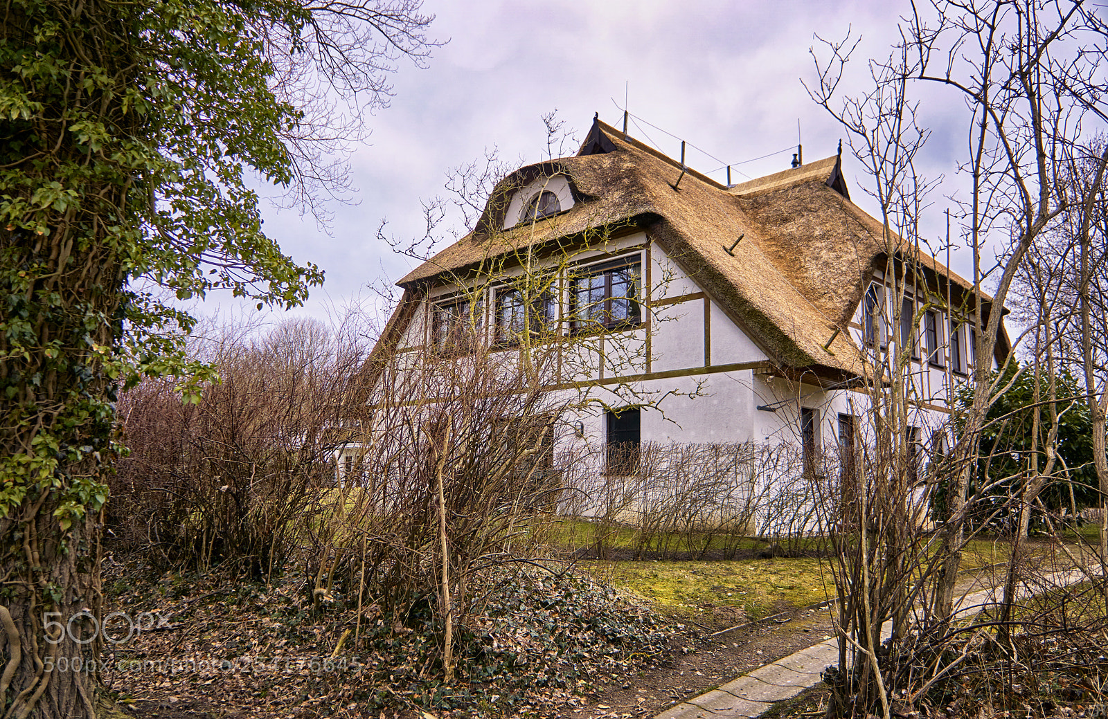 Sony a6000 sample photo. Reetdachhhaus in ahrenshoop photography