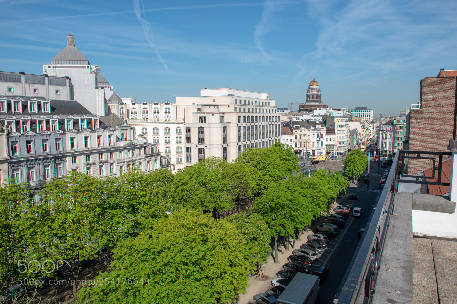 Nikon D5600 sample photo. Spring brussels photography