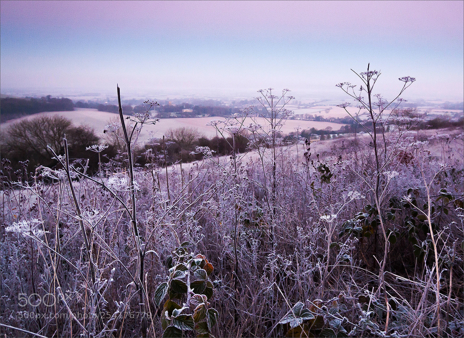 Canon EOS 50D sample photo. Frosty dawn in the photography