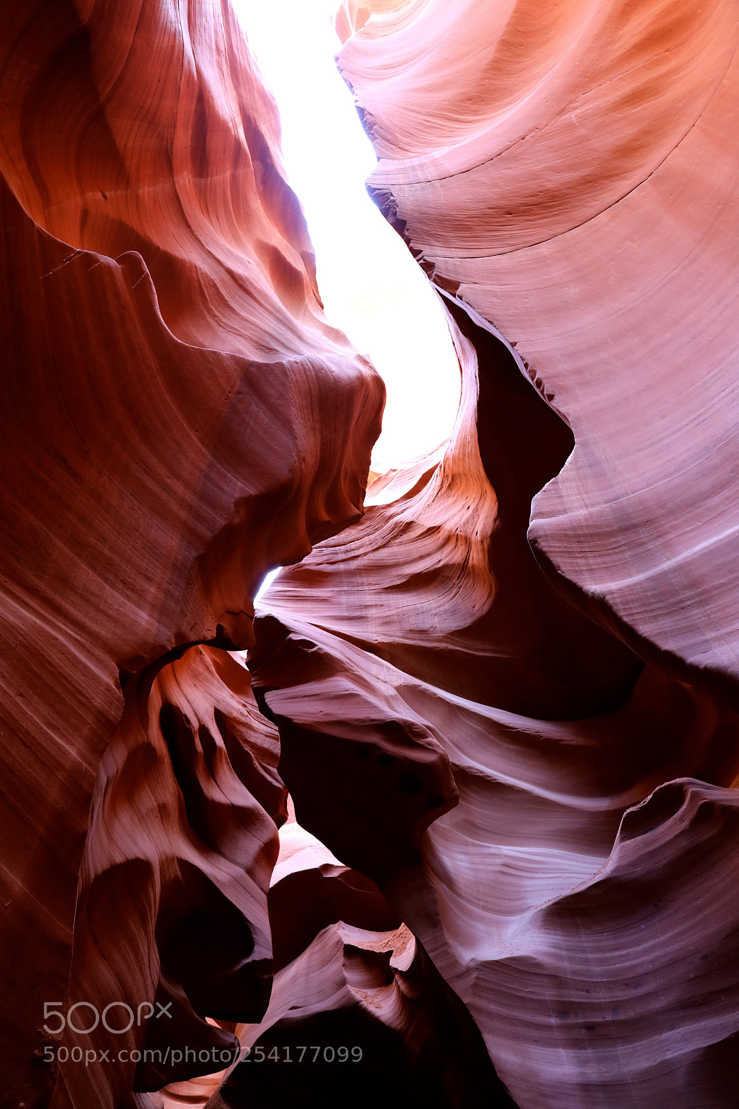 Canon EOS 5D Mark IV sample photo. Antelope canyon page az photography