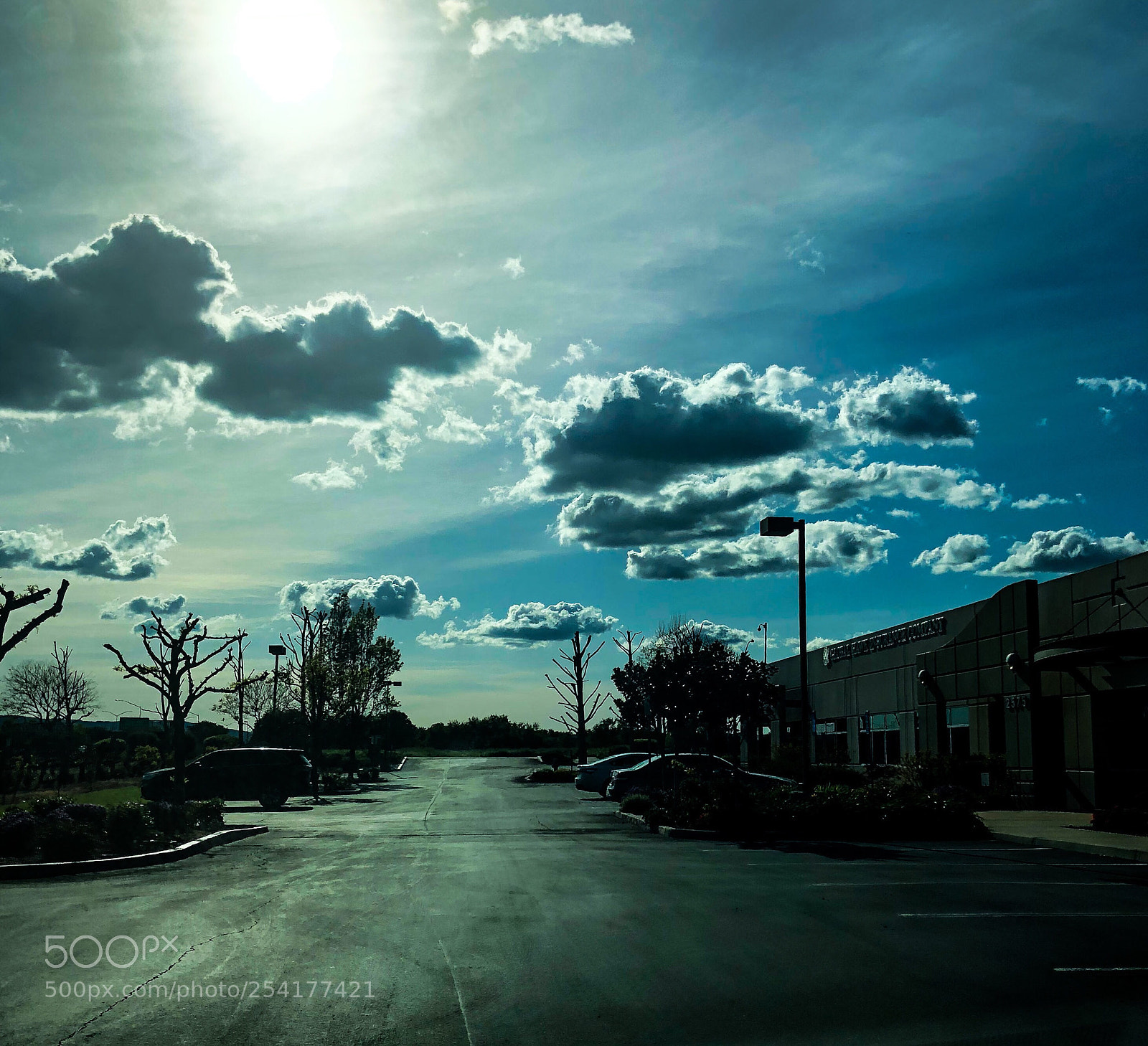 Apple iPhone 8 Plus sample photo. Untitled photography