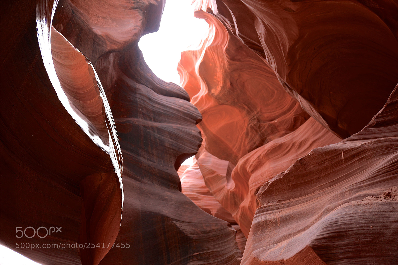 Canon EOS 5D Mark IV sample photo. Antelope canyon page az photography