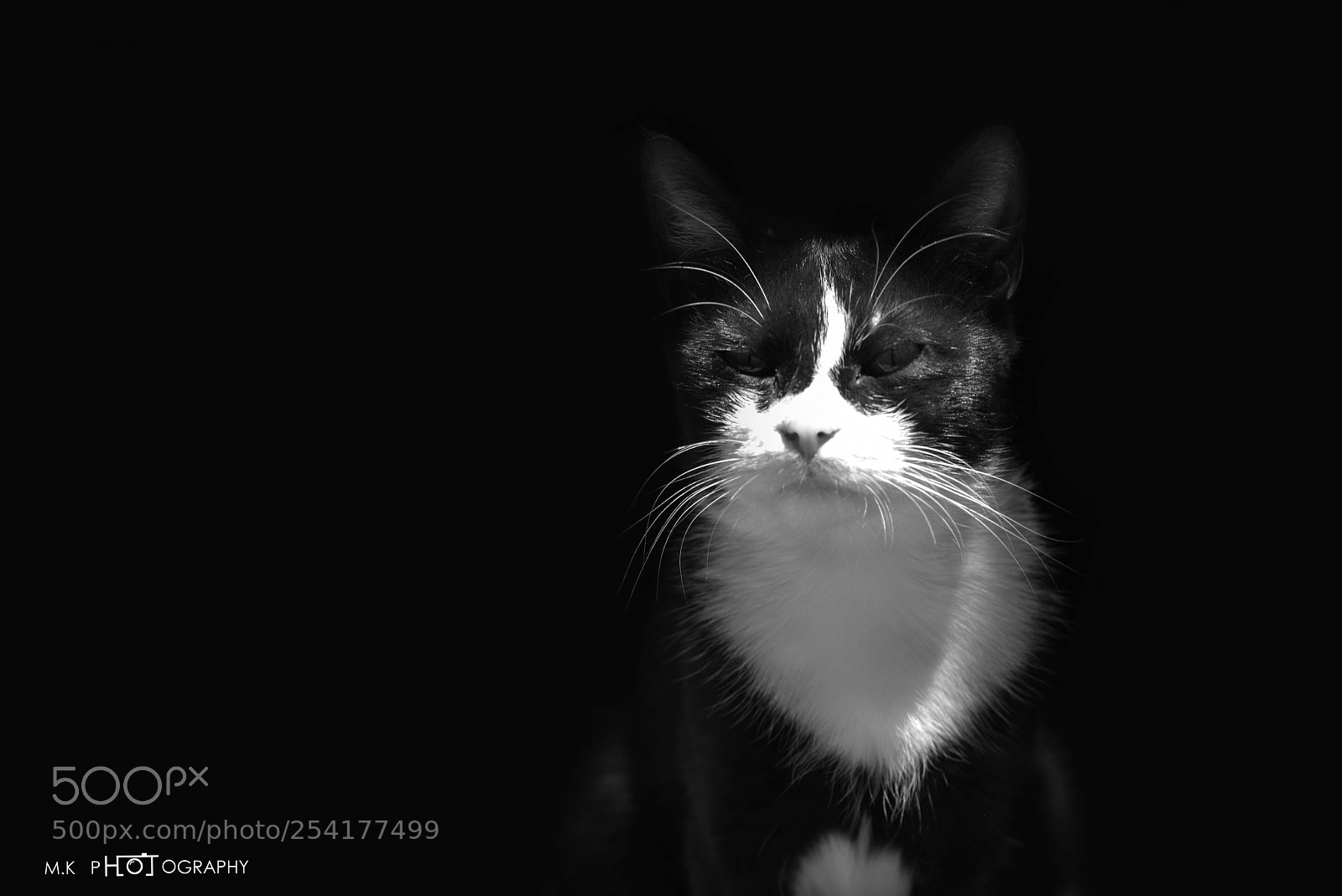 Nikon D810 sample photo. Untitled photography