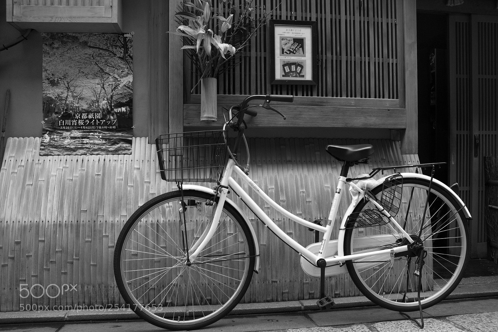 Canon EOS 60D sample photo. Mg xe đạp (tt) photography