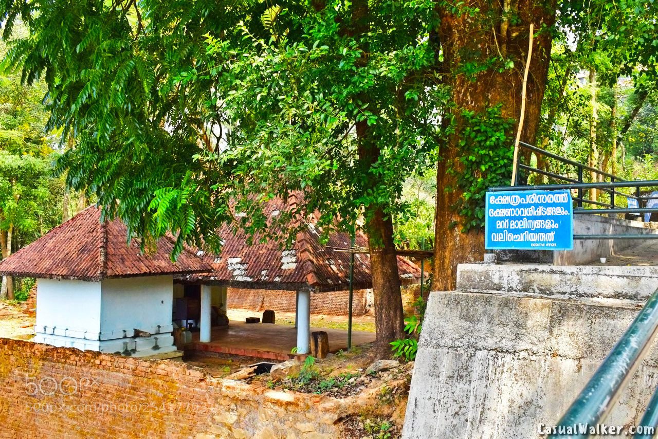 Nikon D3300 sample photo. Dsc photography