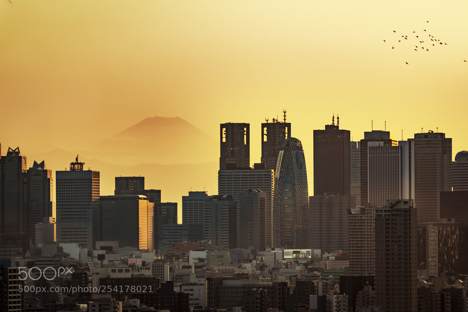 Nikon D500 sample photo. Nishi-shinjuku at a flock photography