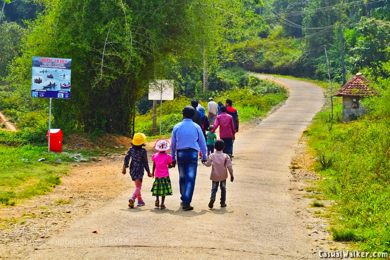 Nikon D3300 sample photo. Dsc photography