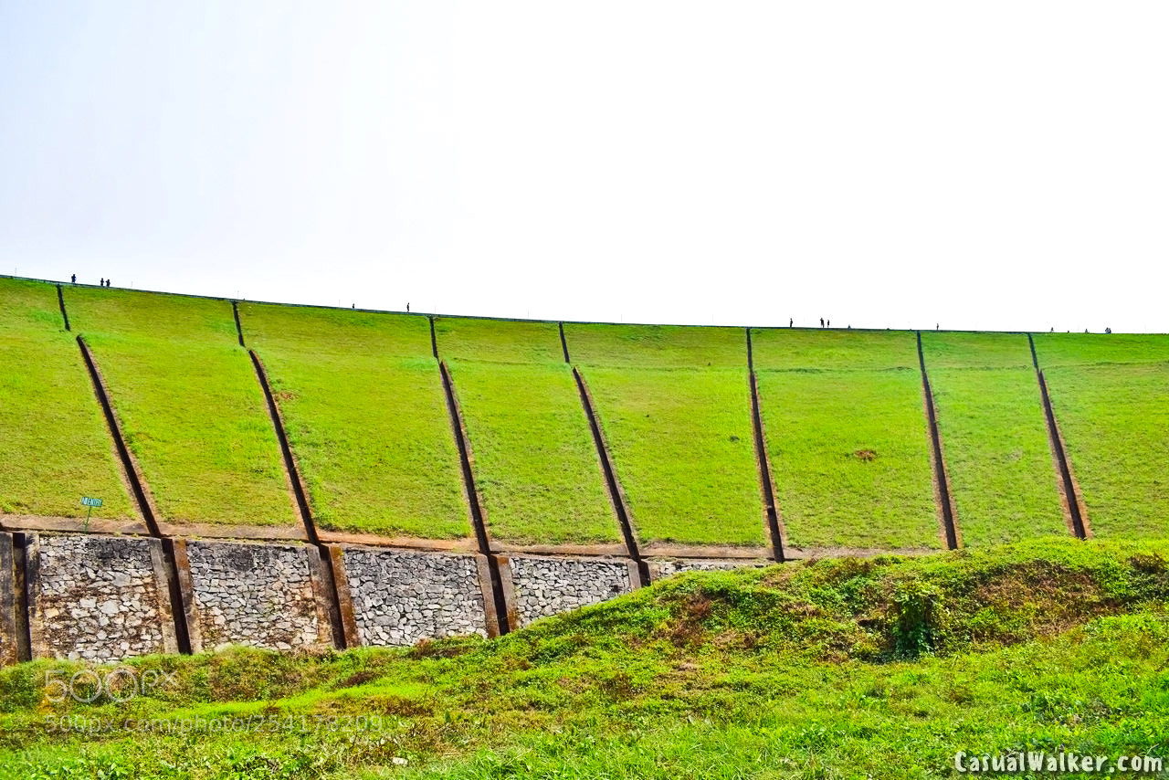 Nikon D3300 sample photo. Wayanad_kerala photography