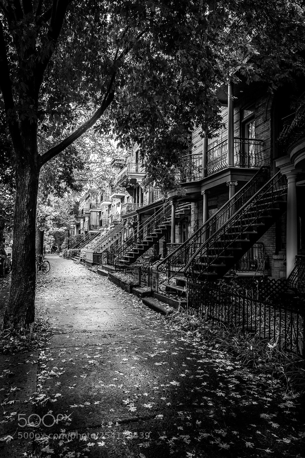 Canon EOS 6D sample photo. Backstreet in montreal photography