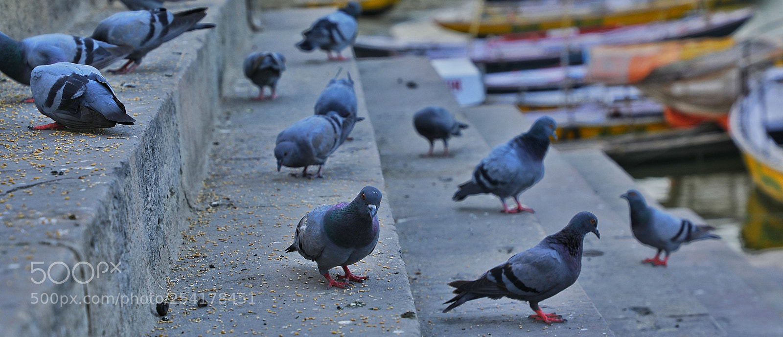 Canon EOS 5D Mark IV sample photo. Untitled photography