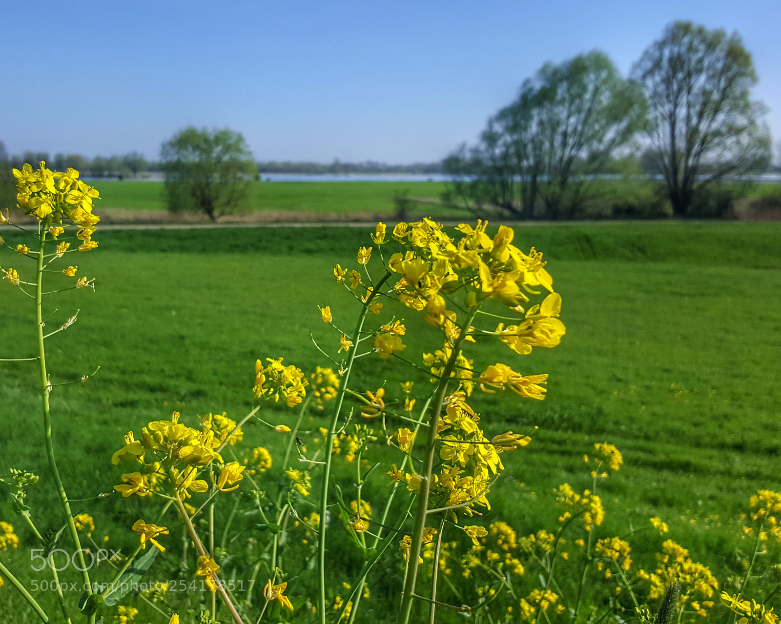 Samsung Galaxy S6 sample photo. • beautifull springday today • photography
