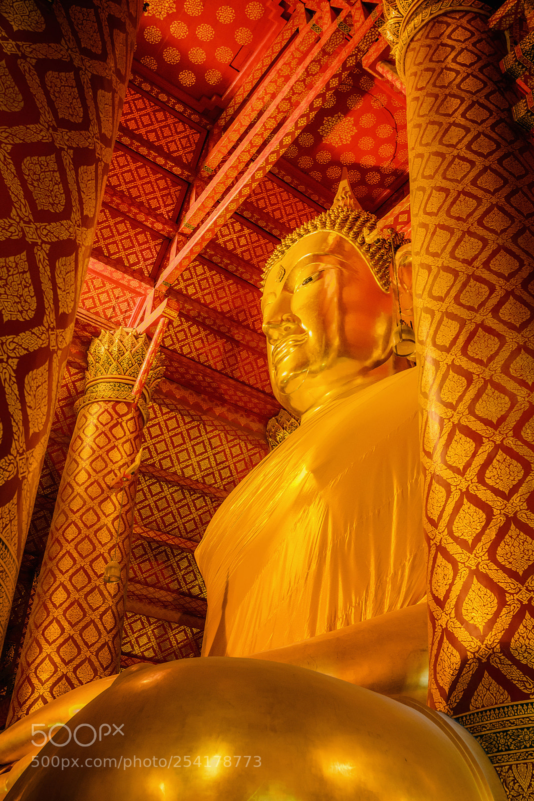 Nikon D800E sample photo. Great and beautiful golden photography